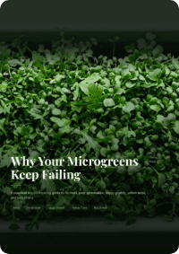 Why Your Microgreens Keep Failing ebook cover